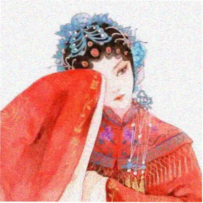 观众苏格的头像